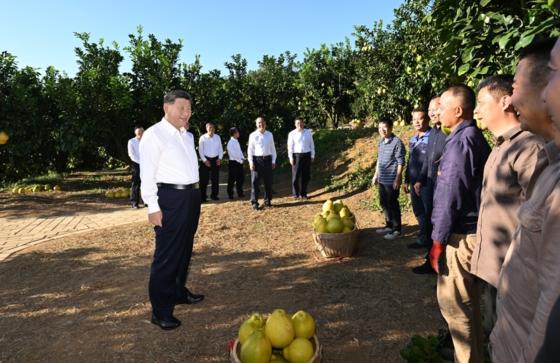 习近平在广东考察时强调：深入学习宣传贯彻党的二十届四中全会精神 以全面深化改革开放推动高质量发展