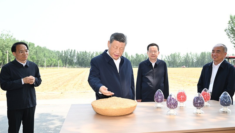 习近平在山东德州考察时强调 以扎实举措推进农业农村现代化 用勤劳和智慧创造更加美好生活